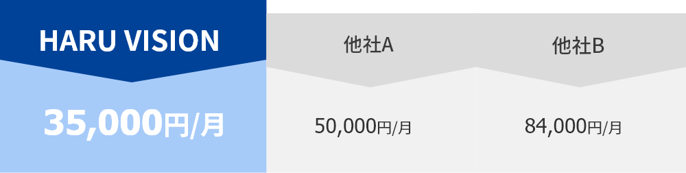 ハルビジョン詳細表